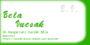 bela vucsak business card